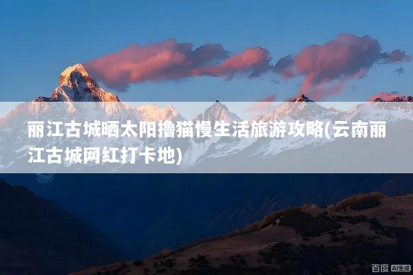 丽江古城晒太阳撸猫慢生活旅游攻略(云南丽江古城网红打卡地)