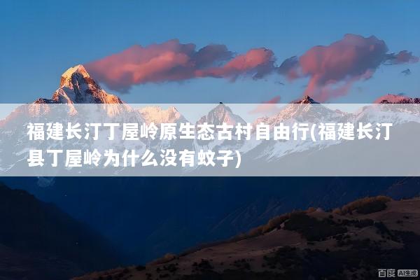 福建长汀丁屋岭原生态古村自由行(福建长汀县丁屋岭为什么没有蚊子)