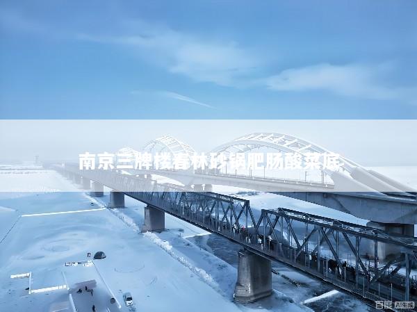 南京三牌楼春林砂锅肥肠酸菜底