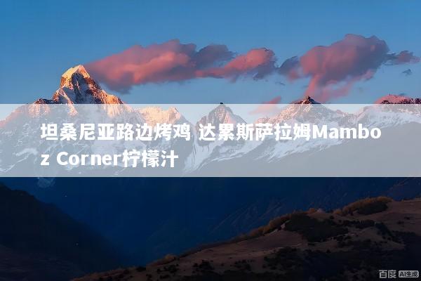 坦桑尼亚路边烤鸡 达累斯萨拉姆Mamboz Corner柠檬汁