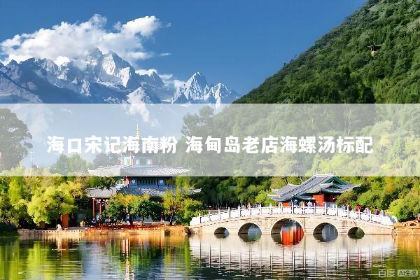 海口宋记海南粉 海甸岛老店海螺汤标配