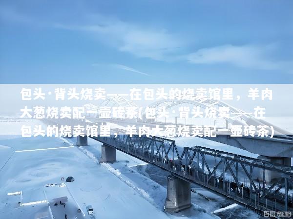 包头·背头烧卖——在包头的烧卖馆里，羊肉大葱烧卖配一壶砖茶(包头·背头烧卖——在包头的烧卖馆里，羊肉大葱烧卖配一壶砖茶)