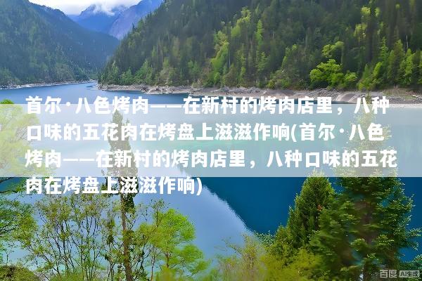 首尔·八色烤肉——在新村的烤肉店里，八种口味的五花肉在烤盘上滋滋作响(首尔·八色烤肉——在新村的烤肉店里，八种口味的五花肉在烤盘上滋滋作响)