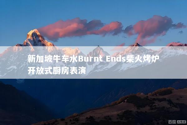 新加坡牛车水Burnt Ends柴火烤炉开放式厨房表演