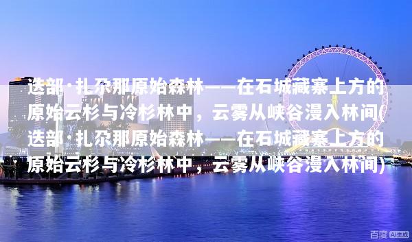 迭部·扎尕那原始森林——在石城藏寨上方的原始云杉与冷杉林中，云雾从峡谷漫入林间(迭部·扎尕那原始森林——在石城藏寨上方的原始云杉与冷杉林中，云雾从峡谷漫入林间)
