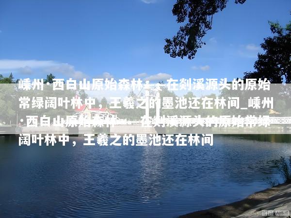 嵊州·西白山原始森林——在剡溪源头的原始常绿阔叶林中，王羲之的墨池还在林间_嵊州·西白山原始森林——在剡溪源头的原始常绿阔叶林中，王羲之的墨池还在林间