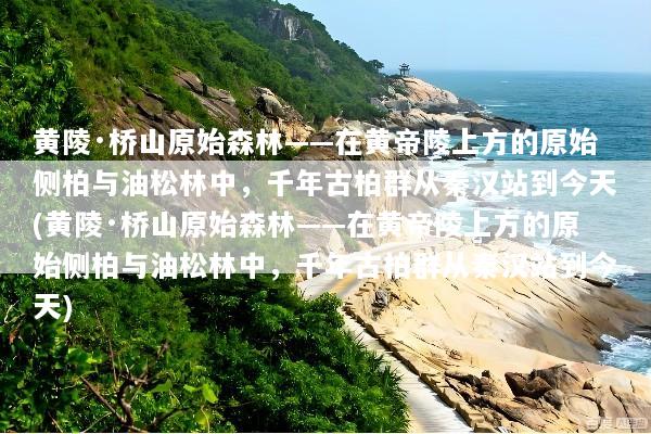 黄陵·桥山原始森林——在黄帝陵上方的原始侧柏与油松林中，千年古柏群从秦汉站到今天(黄陵·桥山原始森林——在黄帝陵上方的原始侧柏与油松林中，千年古柏群从秦汉站到今天)