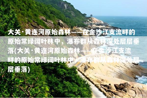 大关·黄连河原始森林——在金沙江支流畔的原始常绿阔叶林中，瀑布群从森林深处层层垂落(大关·黄连河原始森林——在金沙江支流畔的原始常绿阔叶林中，瀑布群从森林深处层层垂落)