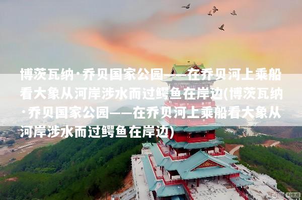博茨瓦纳·乔贝国家公园——在乔贝河上乘船看大象从河岸涉水而过鳄鱼在岸边(博茨瓦纳·乔贝国家公园——在乔贝河上乘船看大象从河岸涉水而过鳄鱼在岸边)